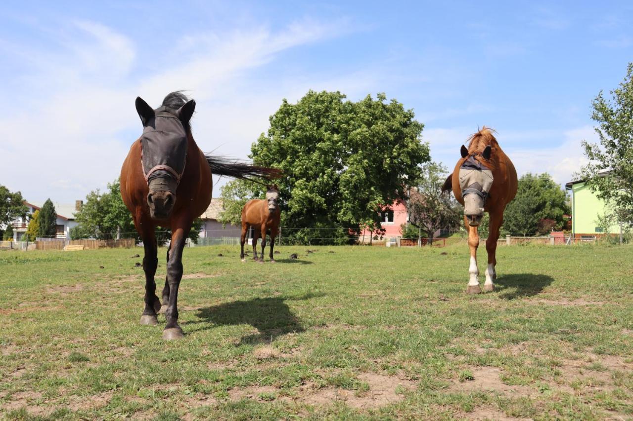 Apartament Agro Zula Hrabušice Zewnętrze zdjęcie